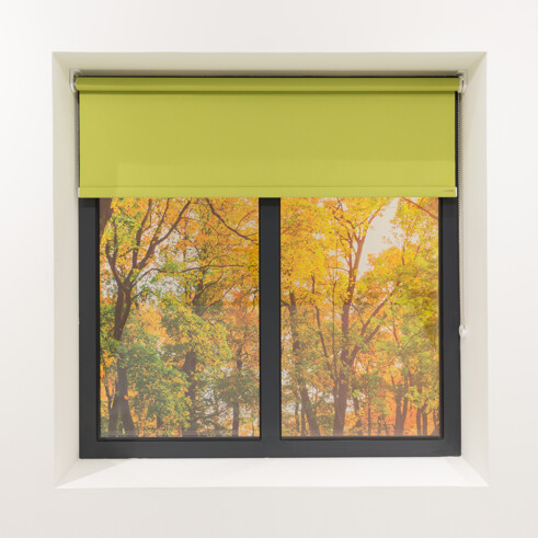 Healthcare roller blind